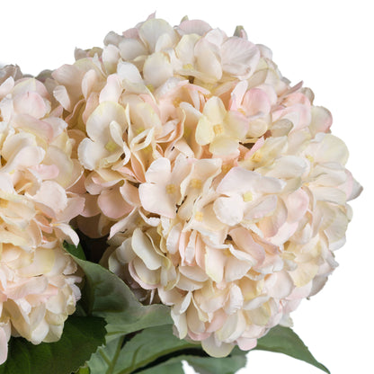 Anastasia White Hydrangea -  - Hill Interiors -