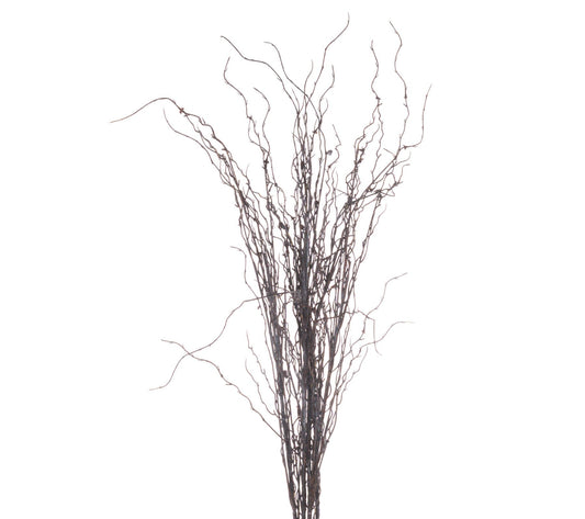 Asher Branch Spray