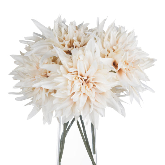 Cream Dahlia