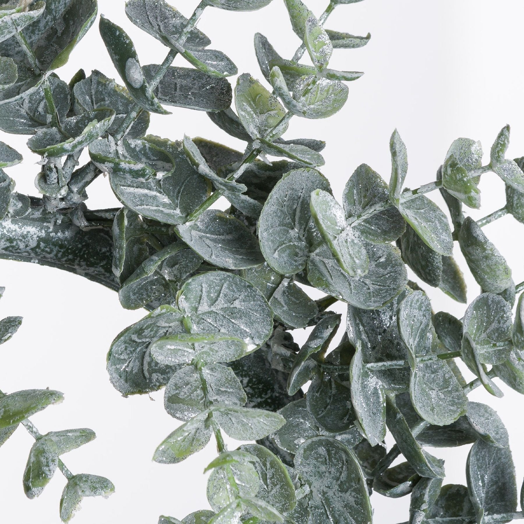 Eucalyptus Wreath Large -  - Hill Interiors -