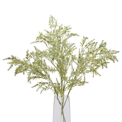 Broom Stem -  - Hill Interiors -