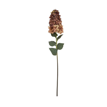 Burgundy Spear Hydrangea -  - Hill Interiors -
