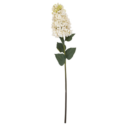 White  Spear Hydrangea -  - Hill Interiors -