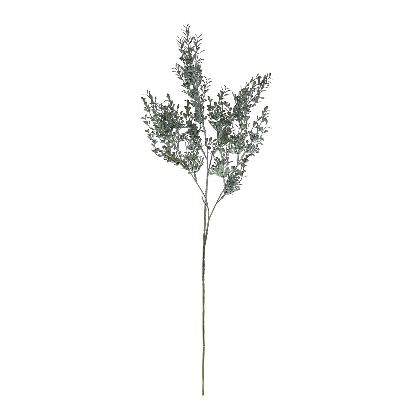 Smoked Grass Spray Stem
