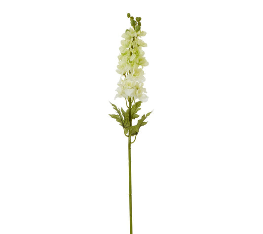 The Natural Garden Collection White Elatum Delphinium