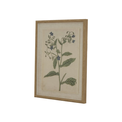 Flora Fauna Collection Borage On Linen In Beaded Frame