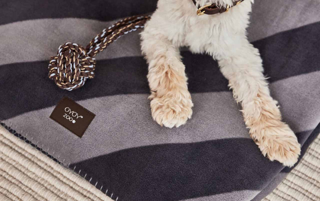 Kaya Dog Blanket - Large