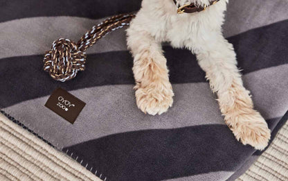 Kaya Dog Blanket - Large
