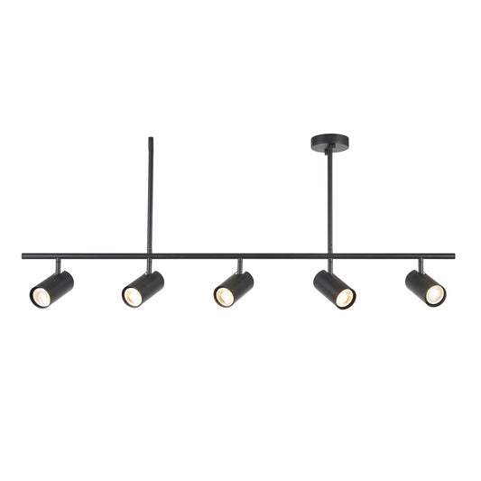 Williams Ceiling Light Large