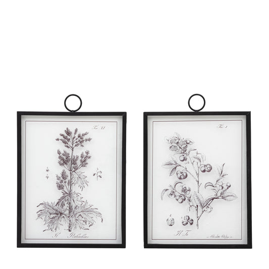 Foliage II Art Set of 2