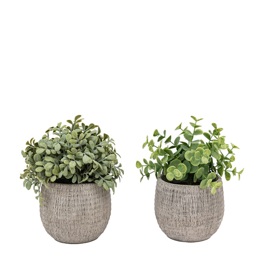Potted Faux Sage Set of 2