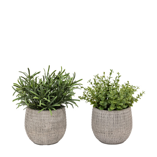 Potted Faux Rosemary Set of 2 - FAUX - Gallery Direct -