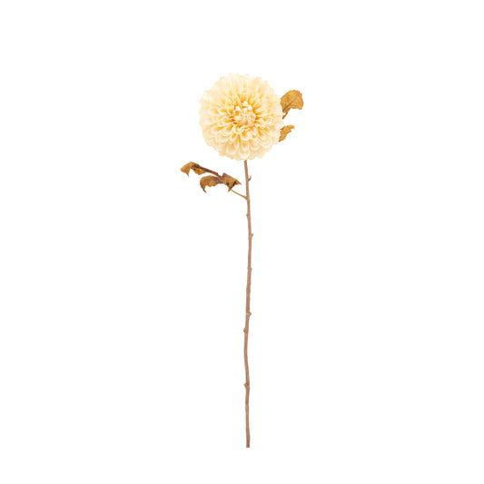 Faux Dahlia Stem Ivory set of 6