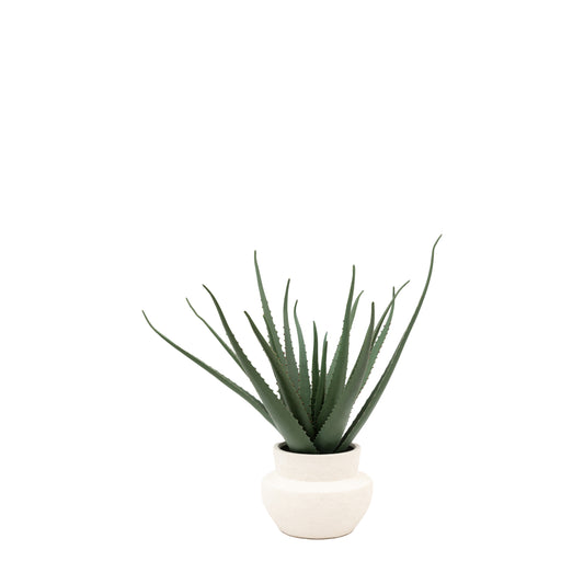 Potted Faux Aloe Vera