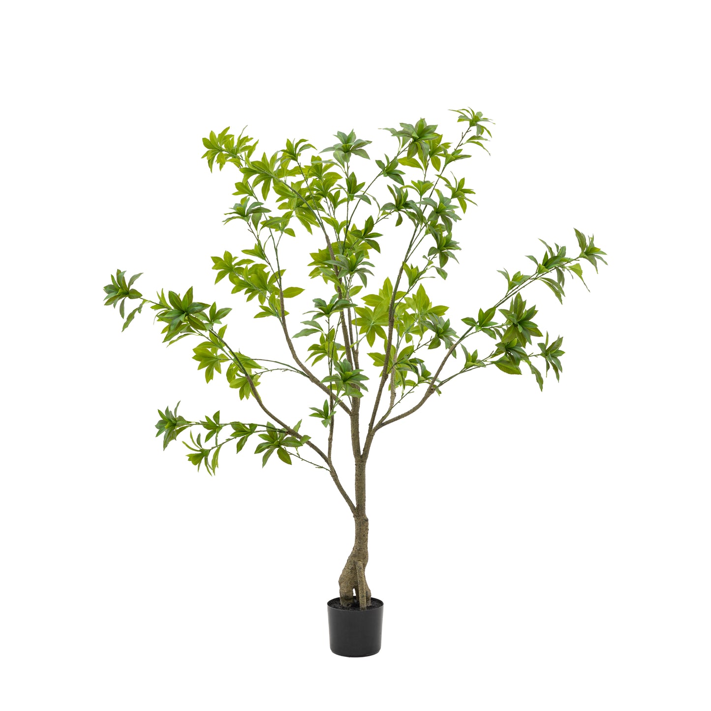 Potted Faux Pierisjaponica Tree 5ft - FAUX - Gallery Direct -