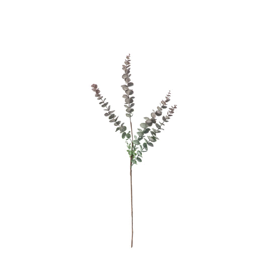 Alia Eucalyptus Spray Plum set of 6