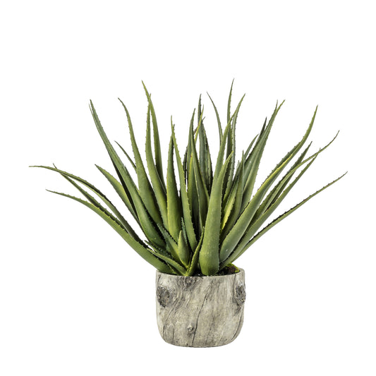 Faux Aloe in Pot