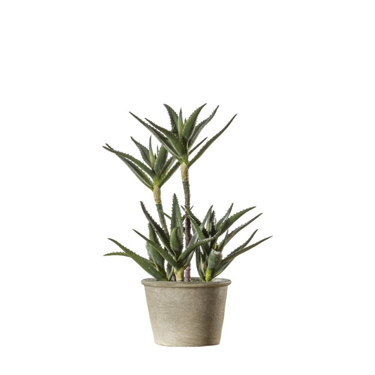 Potted Faux Aloe