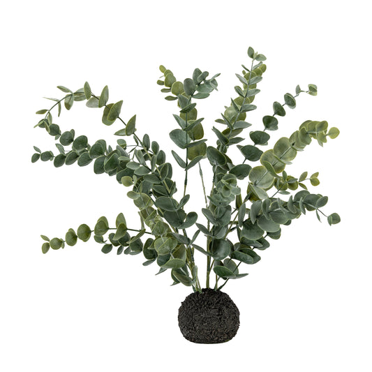 Alia Eucalyptus Large