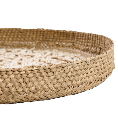 The Costa Shell Plate - Natural White - M_40