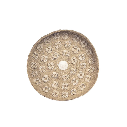 The Caribe Shell Plate - Natural White - M_40