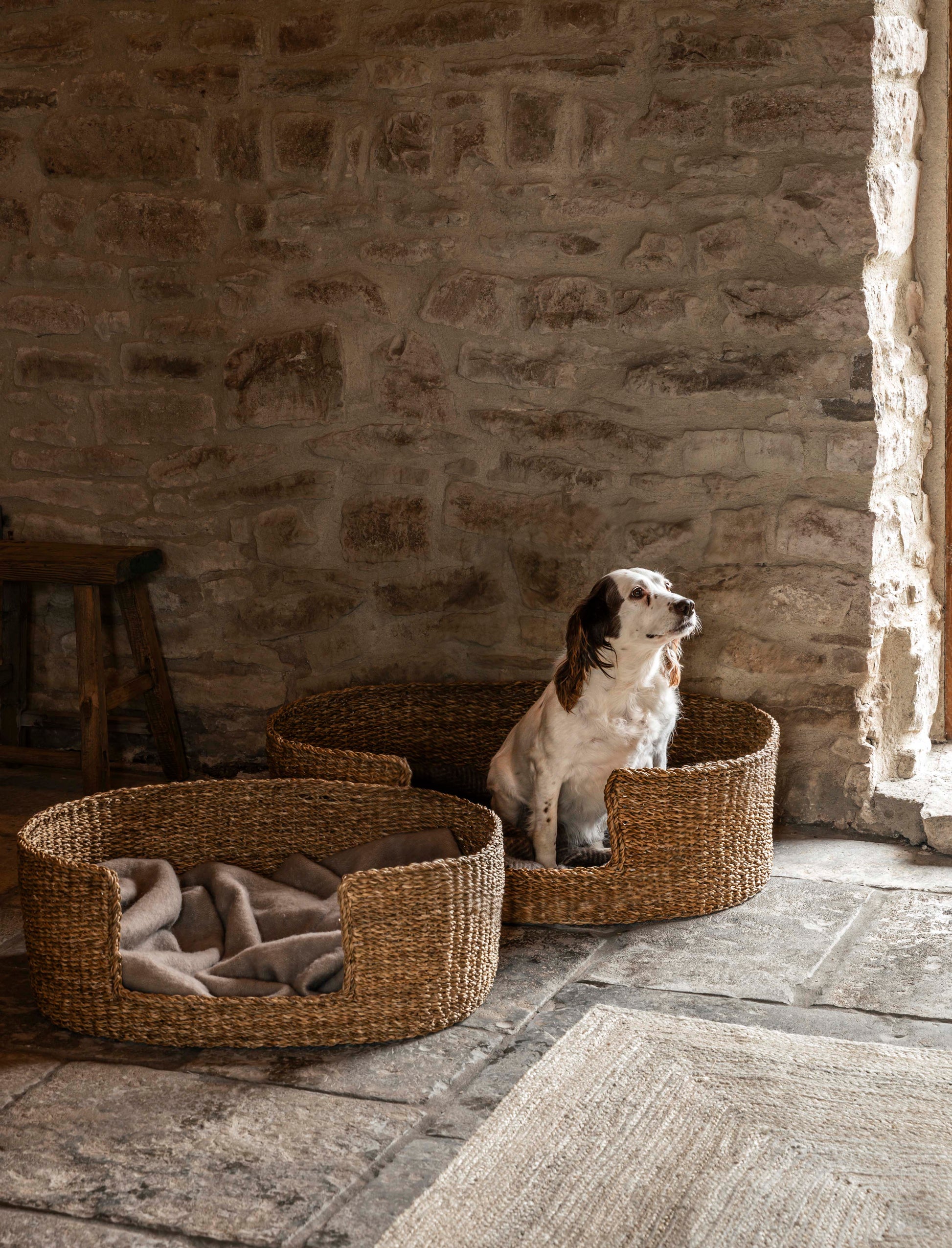 Brading Pet Beds Set of 2 Natural - Pets - Garden Trading -