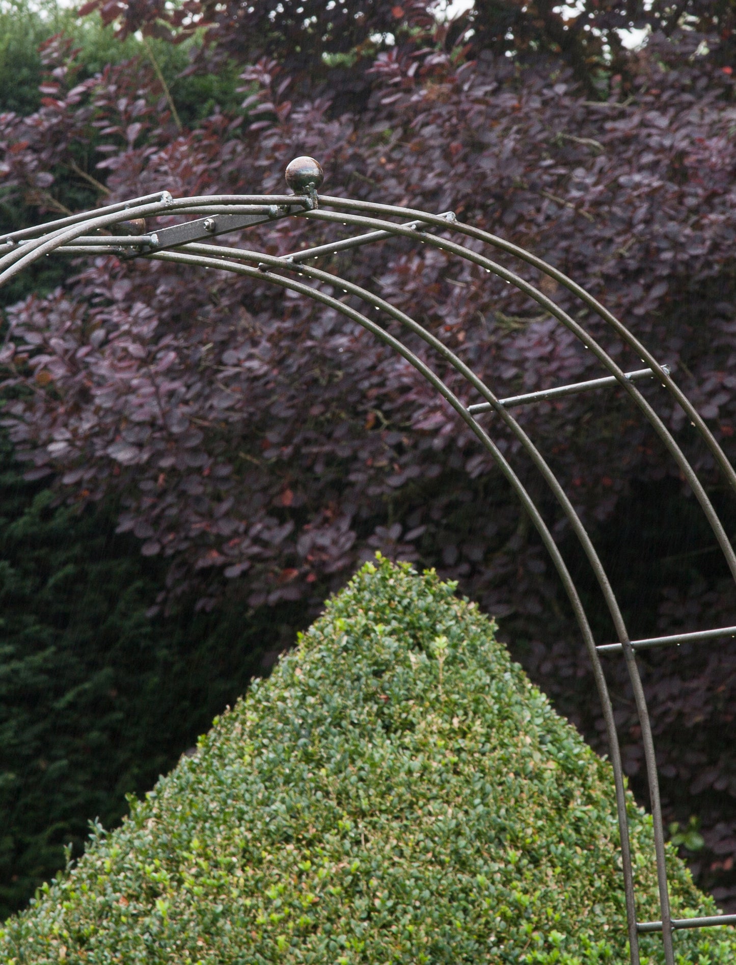 Barrington Rose Arch - Plant Supports & Obelisks - Garden Trading -