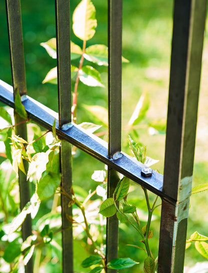 Farringdon Domed Rose Arch