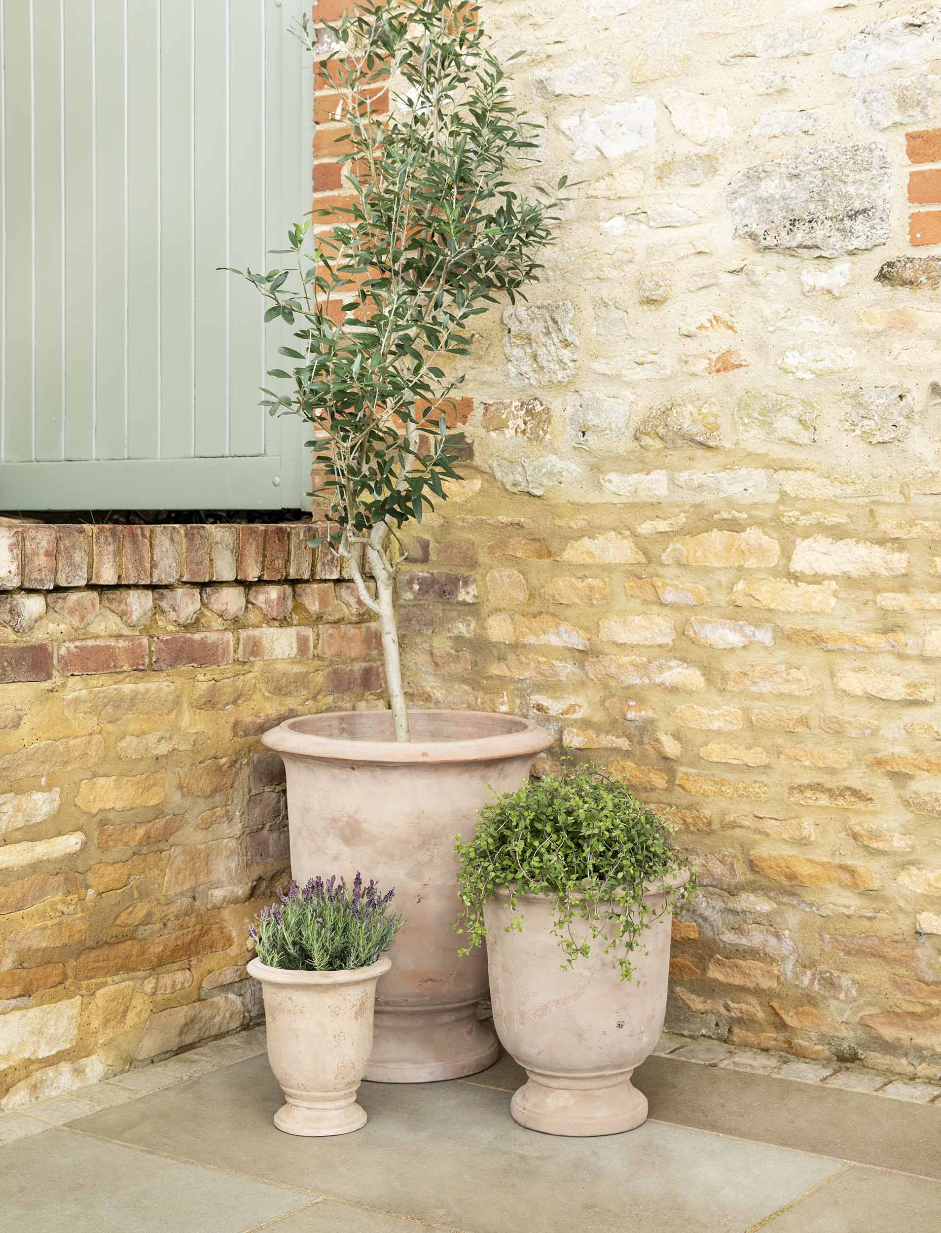 Ubley Planters Set of 3 Terracotta - Pots, Planters & Troughs - Garden Trading -