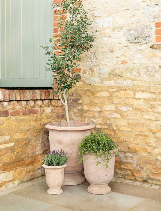 Ubley Planters Set of 3 Terracotta - Pots, Planters & Troughs - Garden Trading -