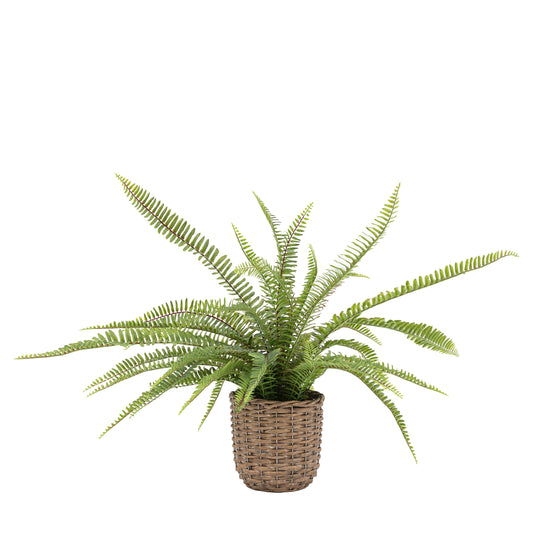Potted Artificial Fern Small