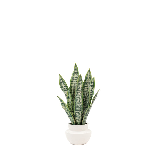 Potted Artificial Snake Plant