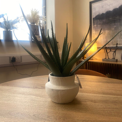 Potted Faux Aloe Vera