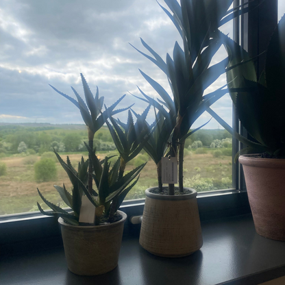 Potted Faux Aloe