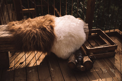 New Zealand Sheepskin Long Wool Rug/Throw Ivory