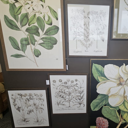 Foliage I Framed Art Set of 3