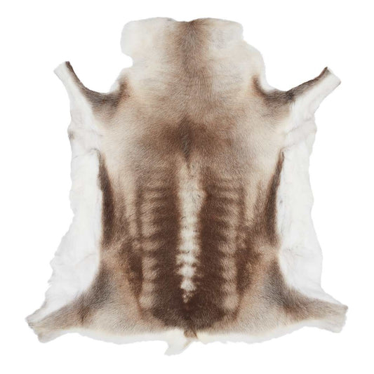Reindeer Hide Rug/Throw Natural