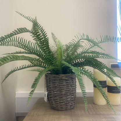 Potted Artificial Fern Small