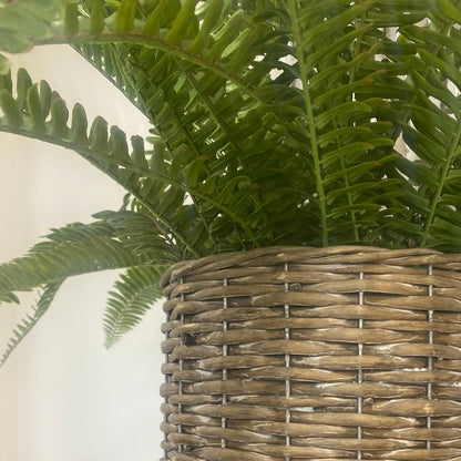 Potted Artificial Fern Large