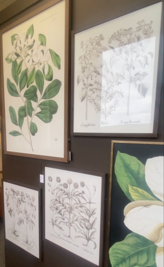 Foliage I Framed Art Set of 3