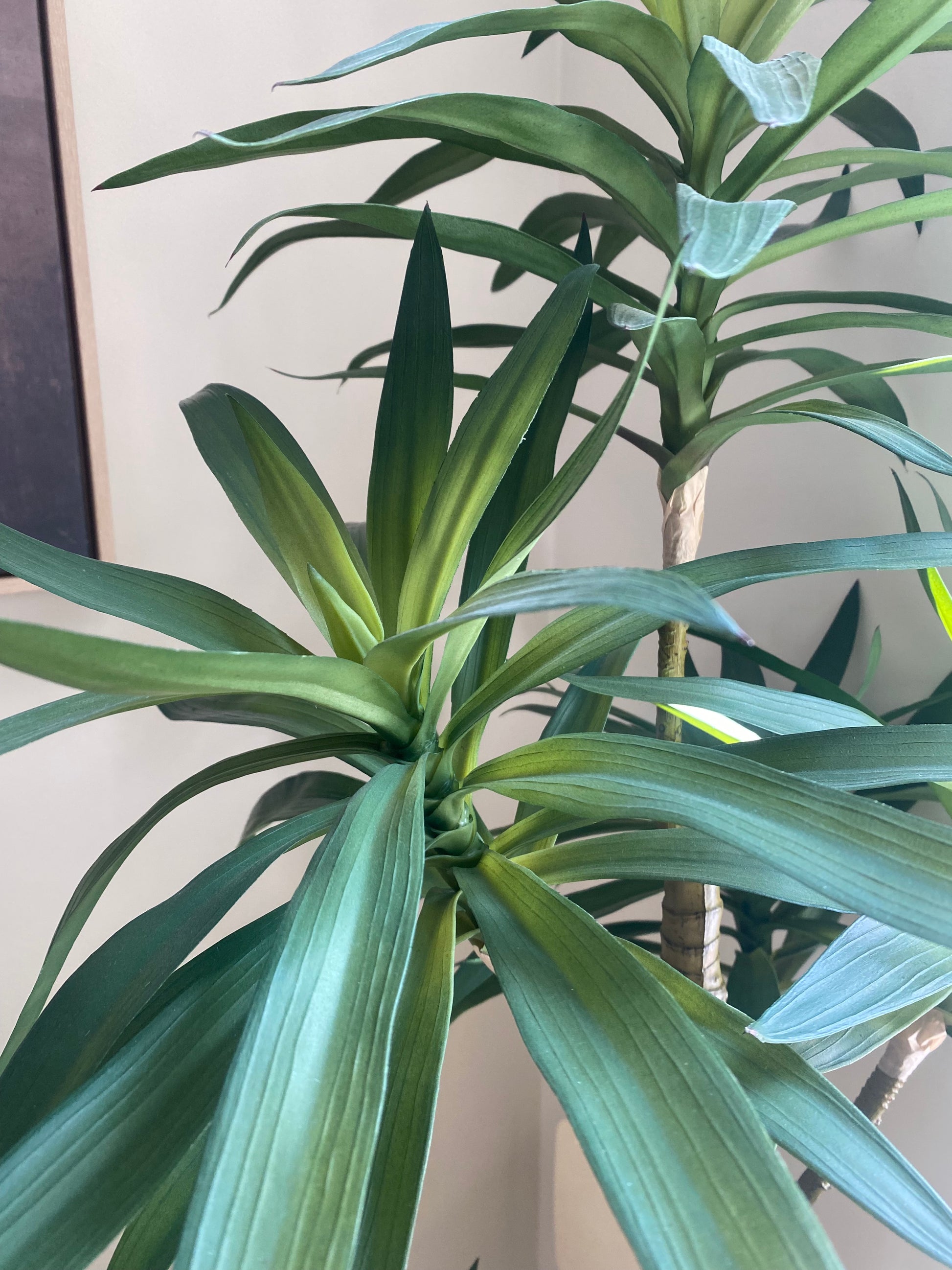 Large Yucca Tree with 6 Heads - FAUX - Gallery Direct -